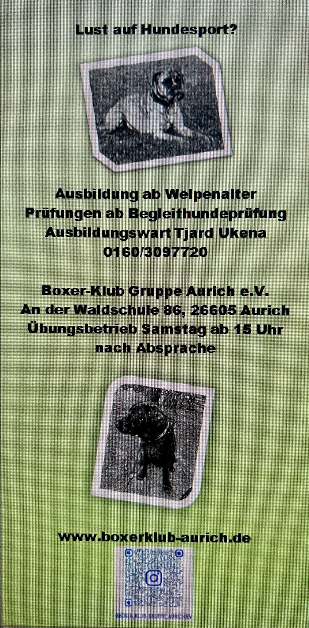 Ausbildungsflyer